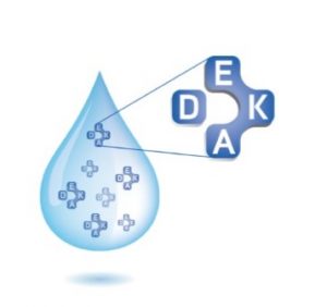 dekas vitamins absorption-micelle-2