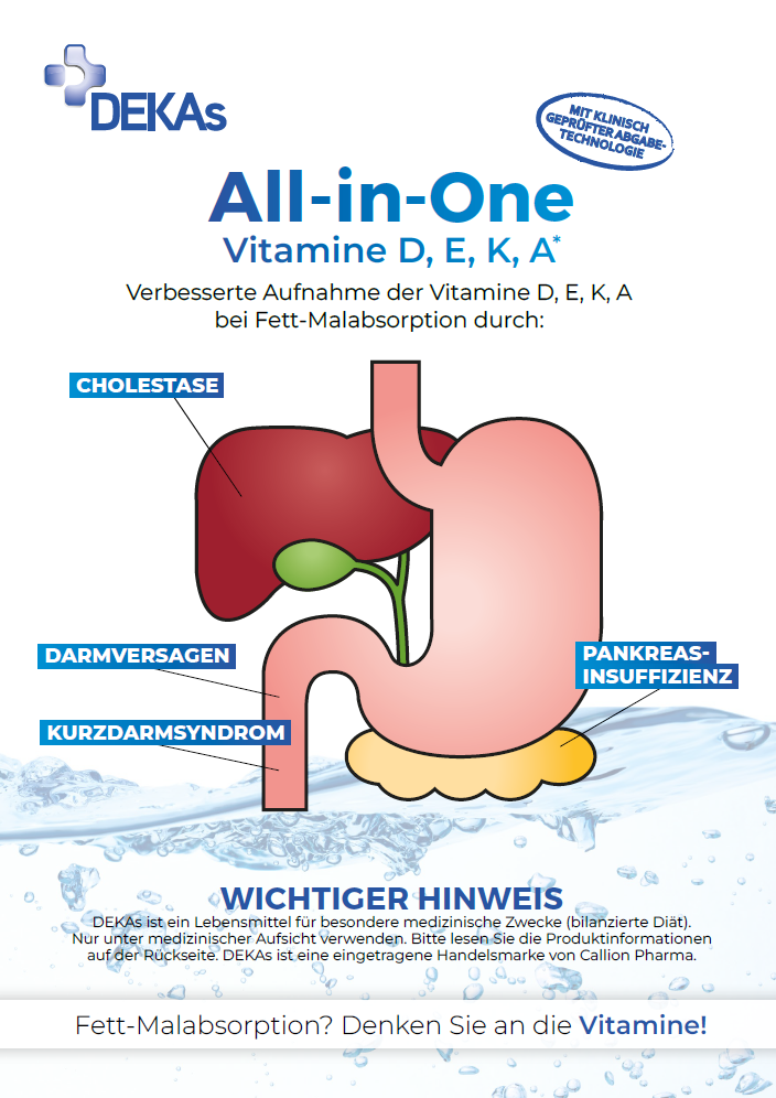DEKAs brochure Deutsch2025