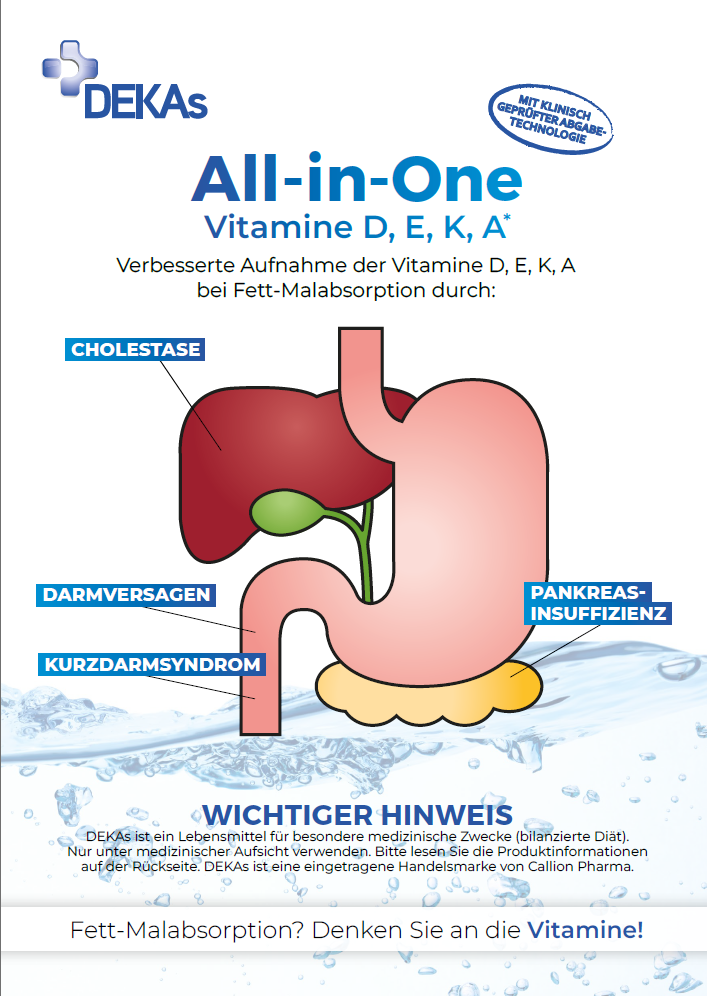 DEKAs brochure Deutsch2025