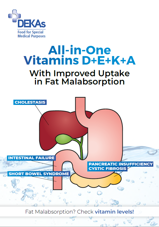 DEKAs brochure Eng2025