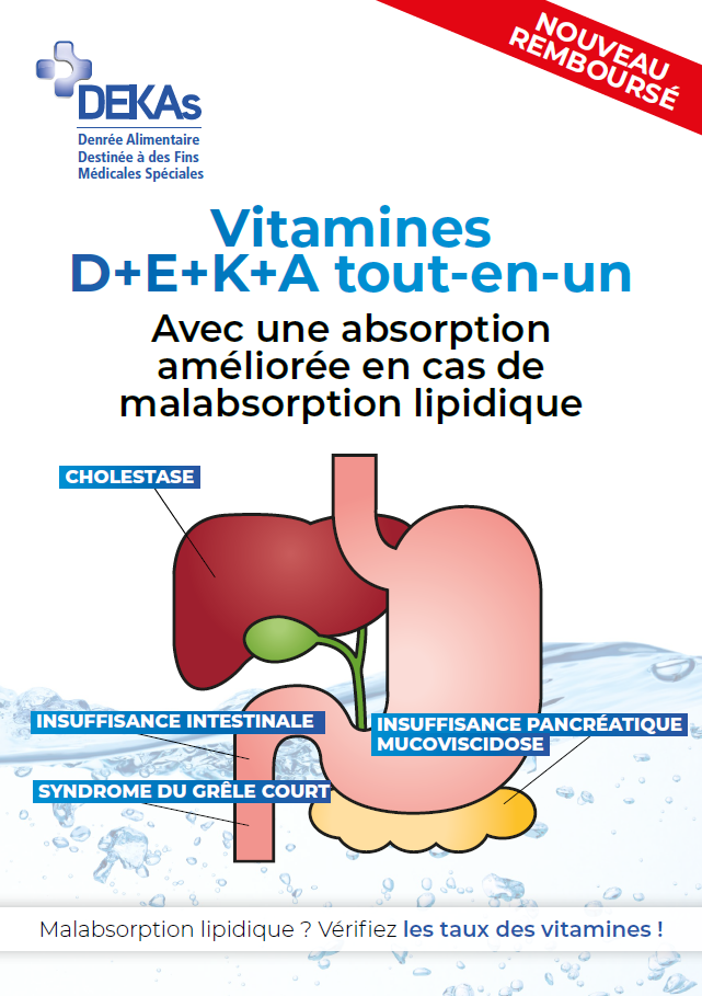 DEKAs brochure Fra2025
